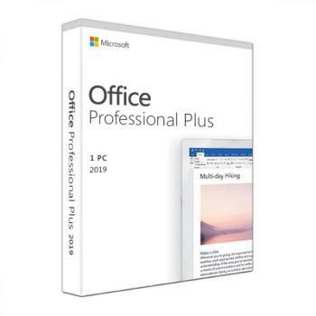Microsoft Office 2019 Professional Plus - 2PCs