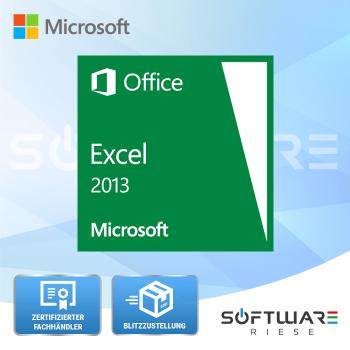 Microsoft Excel 2013