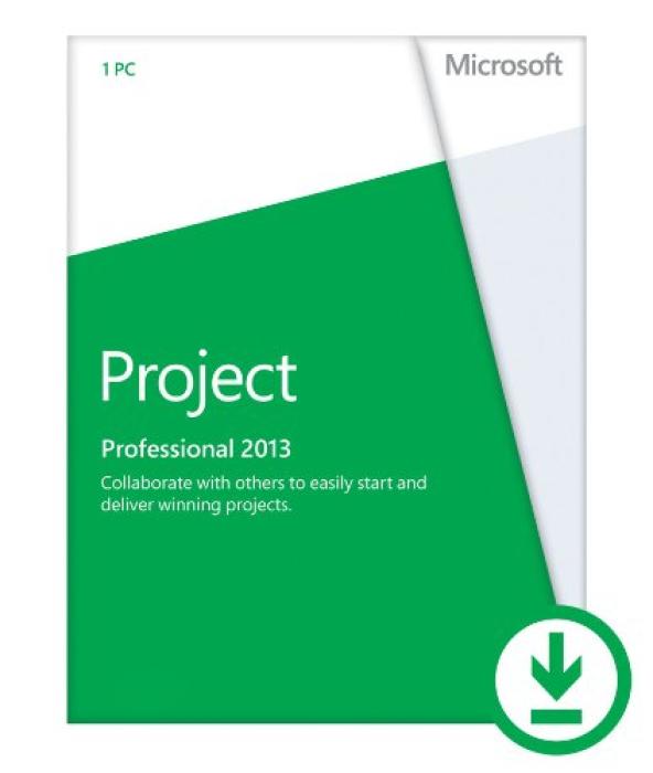 Microsoft Project 2013 Professional