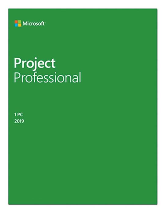 Microsoft Project 2019 Professional